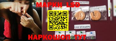 spice Кунгур