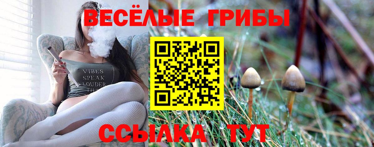 Псилоцибиновые грибы ЛСД Дербент