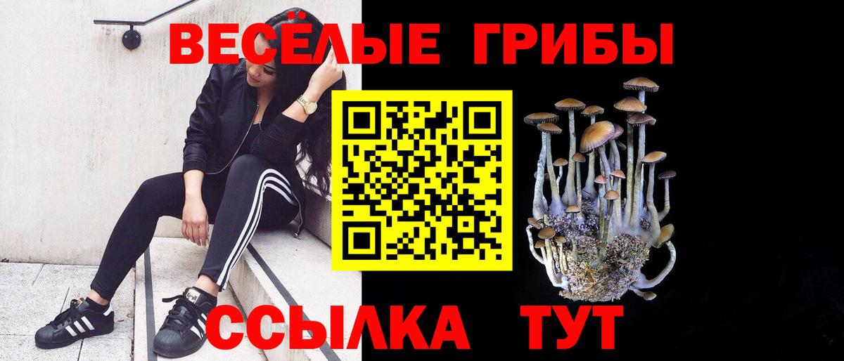 Галлюциногенные грибы мицелий  Вход с VPN  Дербент 